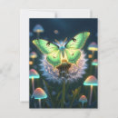 Search for luna moth postcards Nature