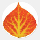 Search for aspen tree stickers Leaf