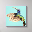 Search for budgie art Feathers