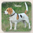 Search for beagle barware Animal