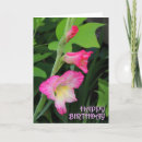 Search for gladiolas cards Floral