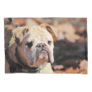 Search for bulldog pillowcases Cute