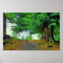 Search for environmental posters Forest