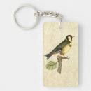 Search for avian rectangular key rings Animal
