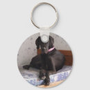 Search for great dane key rings Canine