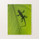 Search for chameleons puzzles Camouflage