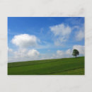 Search for lonely tree postcards Nature