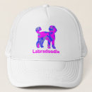 Search for labradoodles hats Puppy