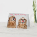 Search for gum cards Dog