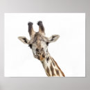 Search for game park art Animal