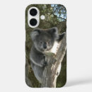 Search for cute koala cases Tree