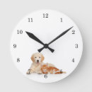 Search for golden retriever art Cute puppy