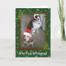 Search for pup christmas cards Red