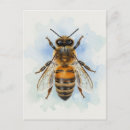 Search for insect postcards Honeybee