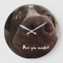 Search for german shorthaired pointer art Gsp