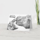 Search for african cards Wildlife