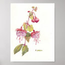 Search for fuschia art Watercolor