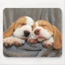 Search for puppy mouse mats Pet