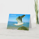 Search for great image cards Sea
