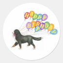 Search for bernese mountain dog stickers Cute