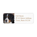 Search for mountain dog return address labels Pet