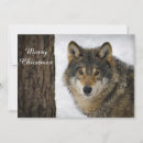 Search for wolf christmas cards Wildlife