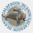 Search for galapagos stickers Ecuador