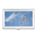 Search for seagull wallets sky