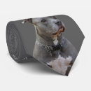Search for pitbull lover ties For him