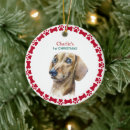 Search for dachshund christmas tree decorations Red and green