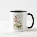 Search for pierre joseph mugs Botanical