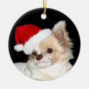 Search for chihuahua christmas tree decorations Xmas