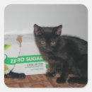 Search for furry cat stickers Pet