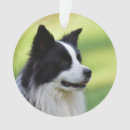 Search for border collie christmas tree decorations Black
