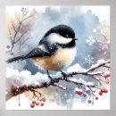 Search for chickadees posters Snow