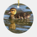 Search for ducklings christmas tree decorations Baby ducks