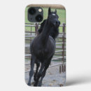 Search for arabians iphone cases Black