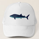 Search for whale hats Shark