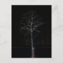 Search for alan vertical postcards White