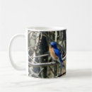Search for bluebird of happiness mugs Wildlife