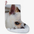 Search for chihuahua christmas stockings Cute