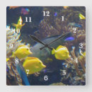 Search for tropical reef posters Anemone