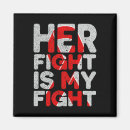 Search for defects magnets Warrior