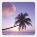 Search for coconut palm stickers Vacation