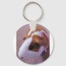 Search for guinea pig key rings Hamster