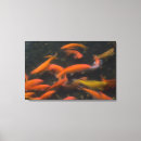 Search for carp canvas prints Swimming