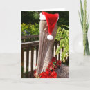 Search for pelican christmas cards Santa