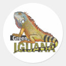 Search for pet reptile stickers Exotic
