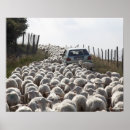 Search for herding posters Sheep