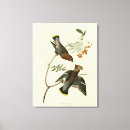 Search for bohemian canvas prints Bird